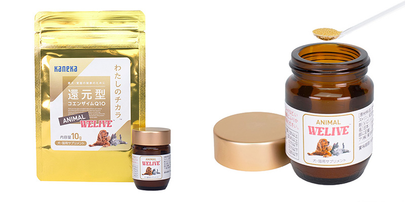 スタッフ猫も続けてます。若々しさのサポートに与えやすいサプリメント