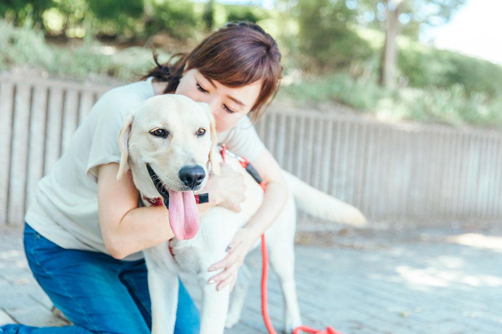 9月1日は防災の日。愛犬のために用意しておきたいペット用防災グッズ