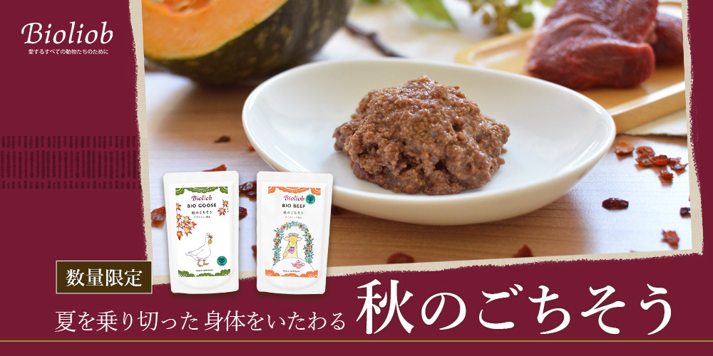 夏を乗り切った身体をいたわる秋のごちそう