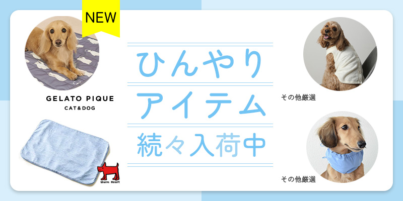 ひんやりアイテム大集合！暑さ対策を万全にして夏を過ごそう。