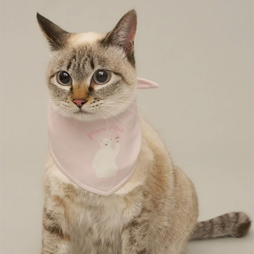 CAT＆DOG　シロクマ柄保冷剤入れバンダナ【数量限定】
