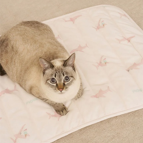 CAT＆DOG　SHARK柄COOLINGマット【数量限定】