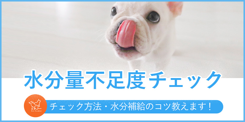 水分量不足度チェック