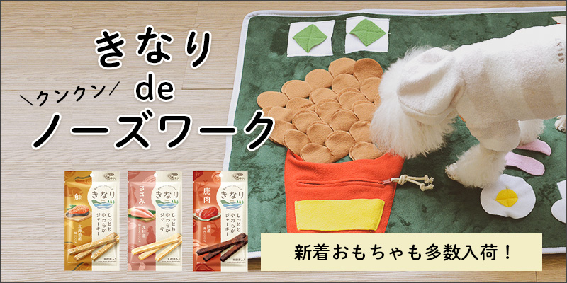 きなりdeノーズワーク