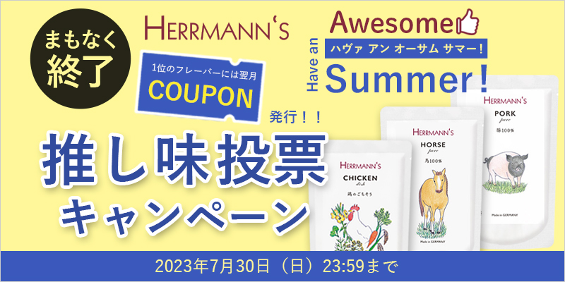 ハヴァアンオーサムサマー！