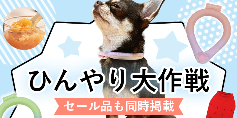 ひんやり大作戦