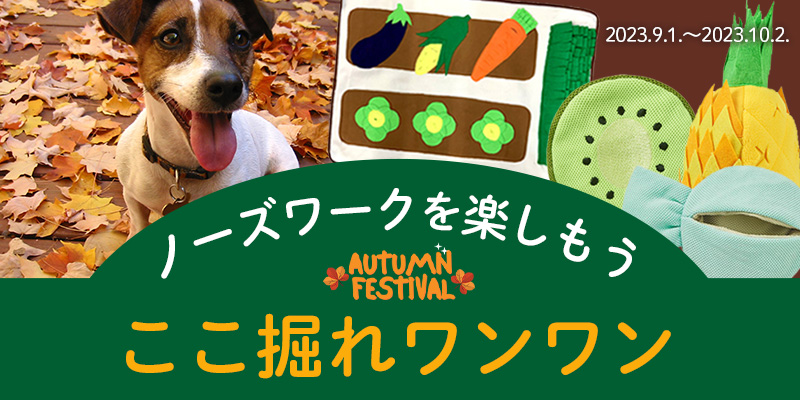 ここ掘れワンワン