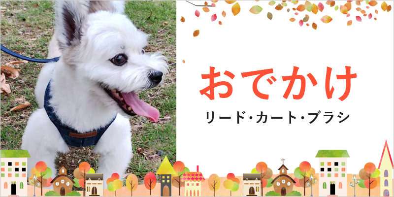 秋の探検おでかけ