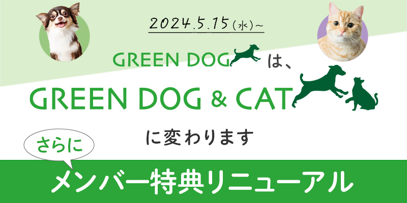 GREEN DOGは、GREEN DOG ＆ CAT に変わります