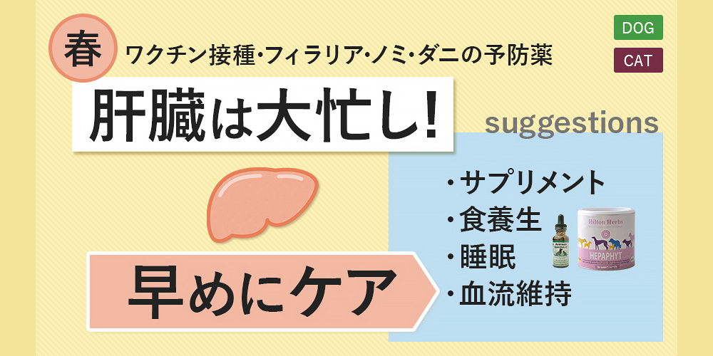 春の肝臓ケア