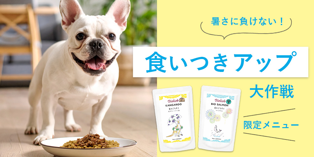 BILB食いつきアップ