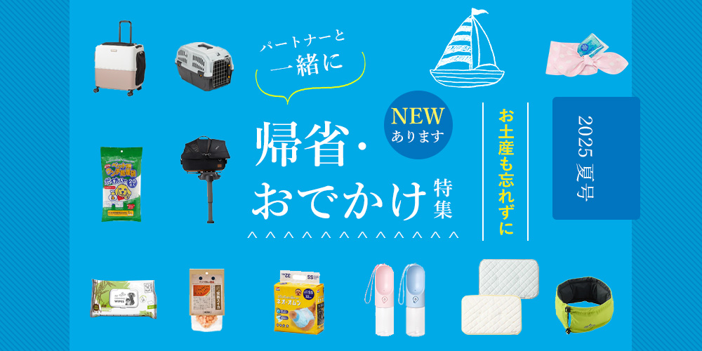 帰省