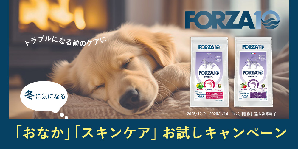 FORZA10冬のキャンペーン