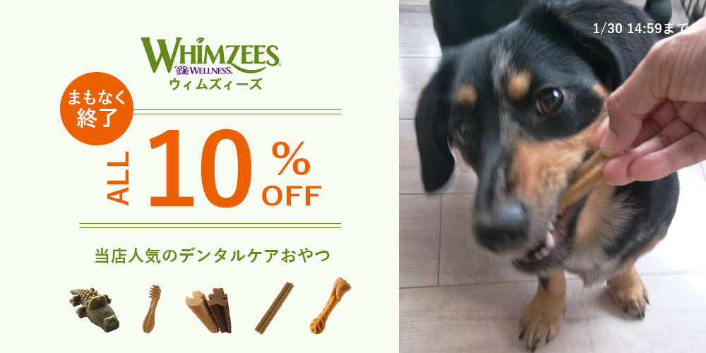 ウィムズィーズ10％OFF