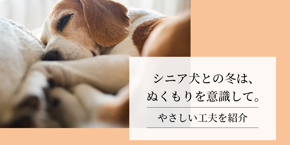 シニア犬との暮らしは、ぬくもりを意識して。