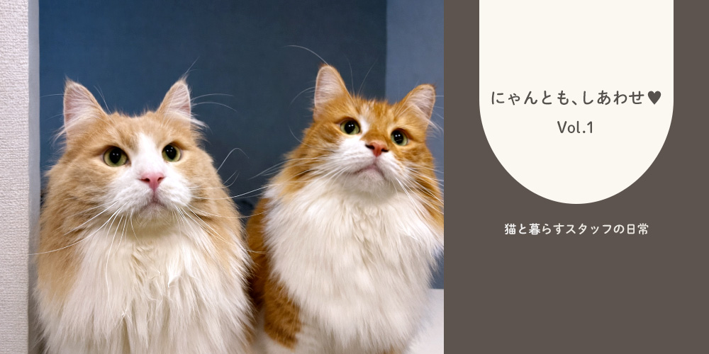にゃんとも、しあわせ♡vol.1