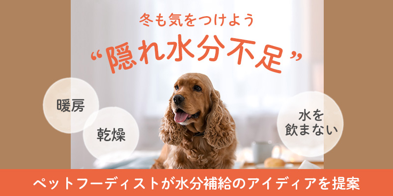 冬も気をつけよう隠れ水分不足