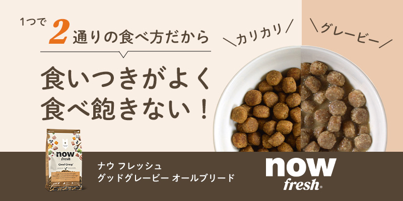 ナウフレッシュグッドグレービーオールブリード