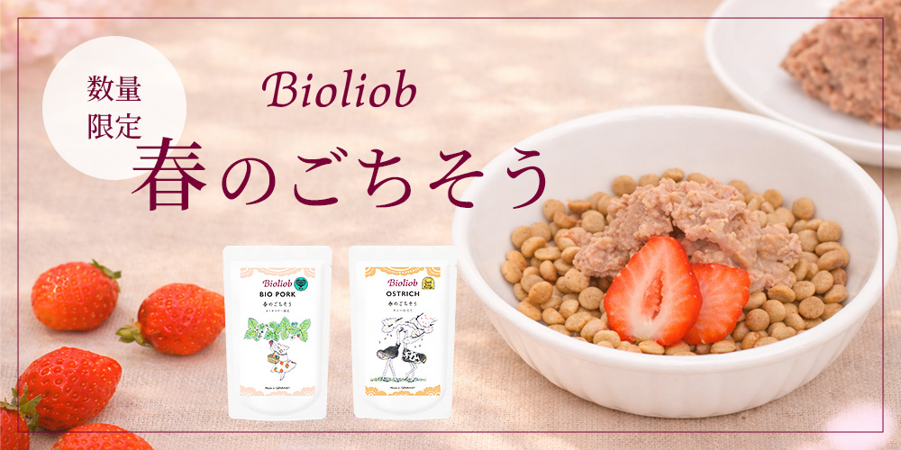 ビオリオーブ春のごちそう
