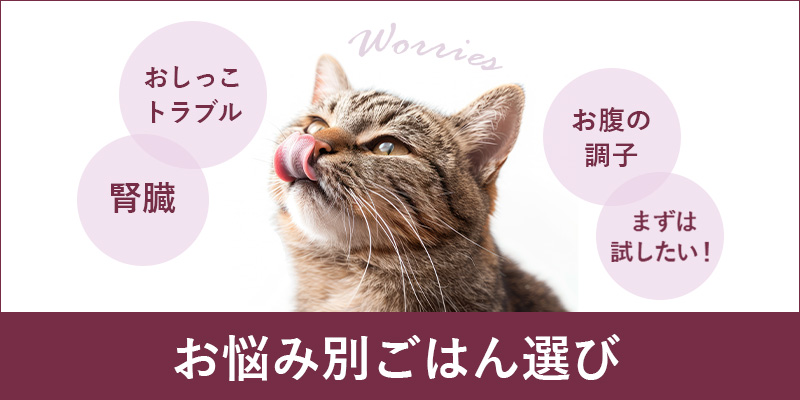 お悩み別ごはんの選び方