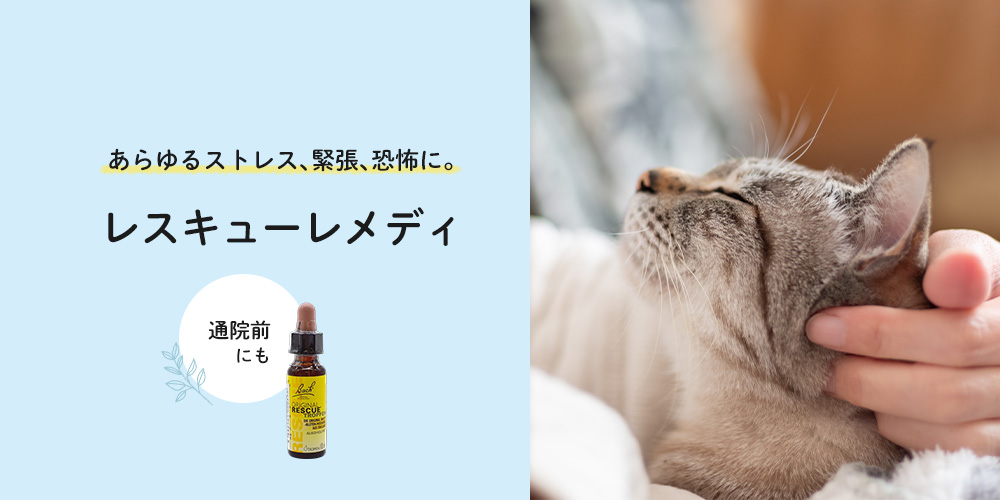 レスキューレメディ