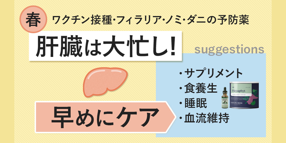春の肝臓ケア