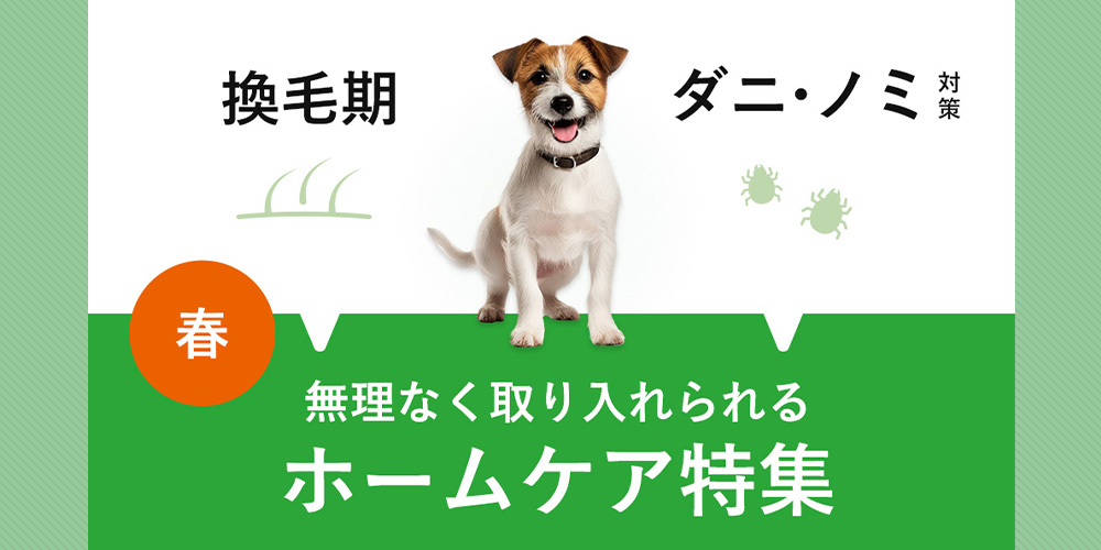 春のホームケア