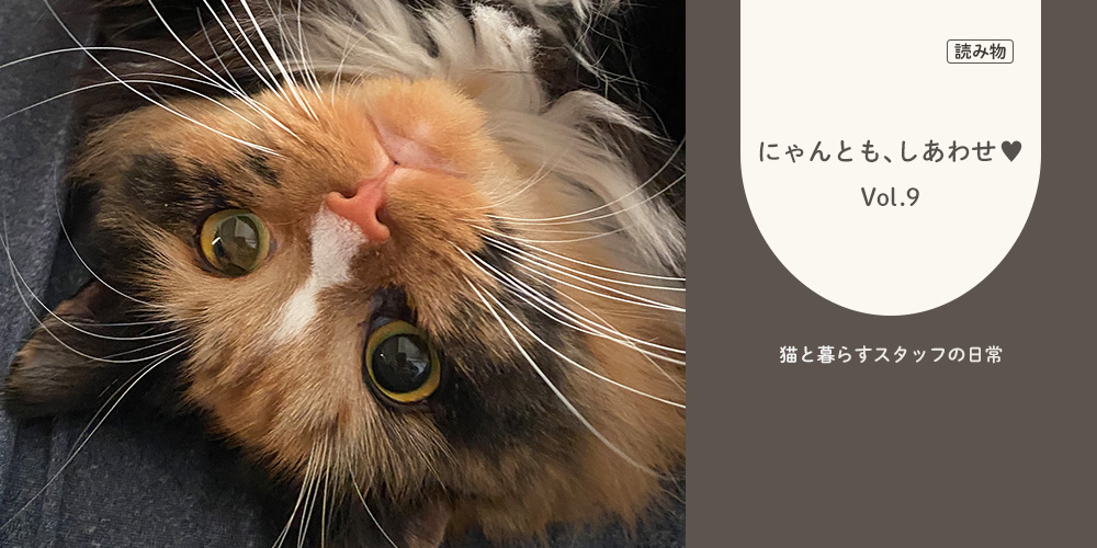 にゃんともしあわせ