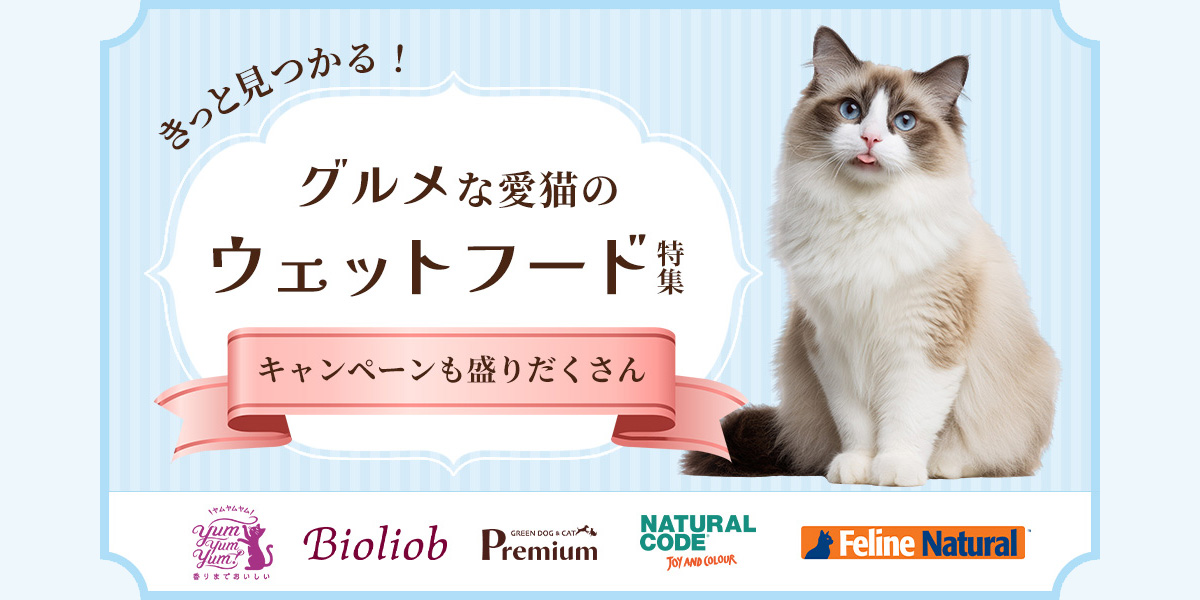 グルメな愛猫のウェットフード特集