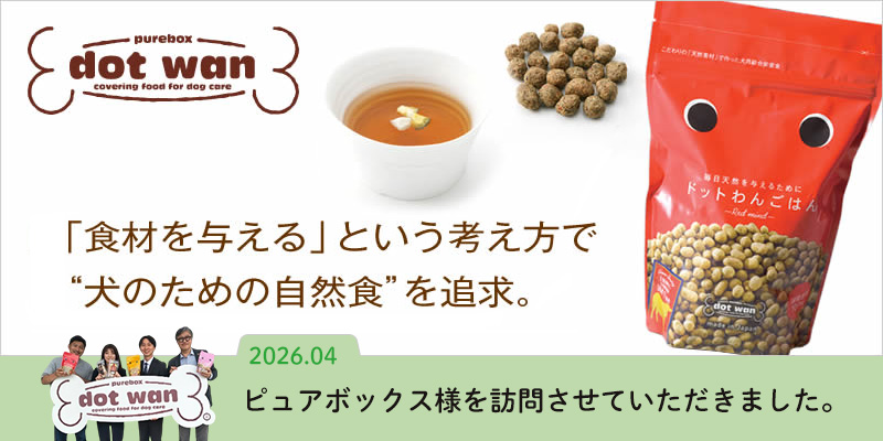 ドットわん