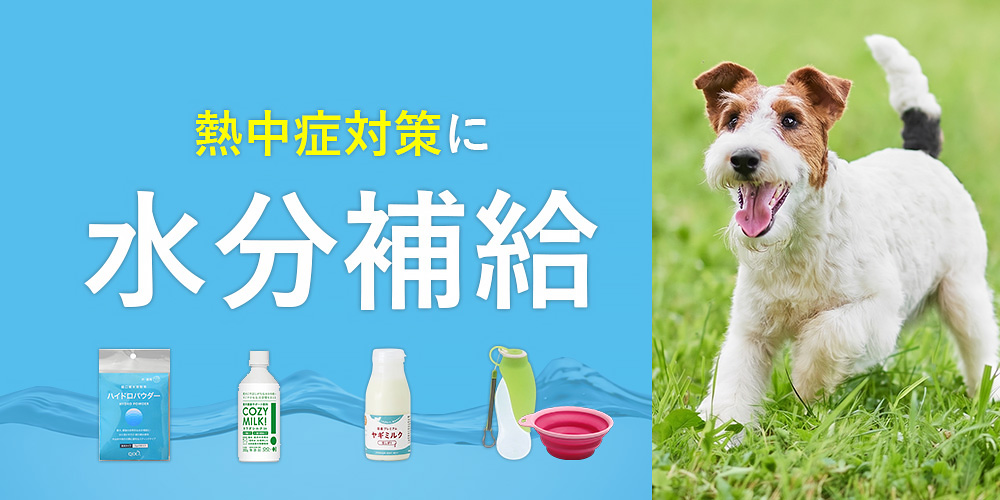 水分補給