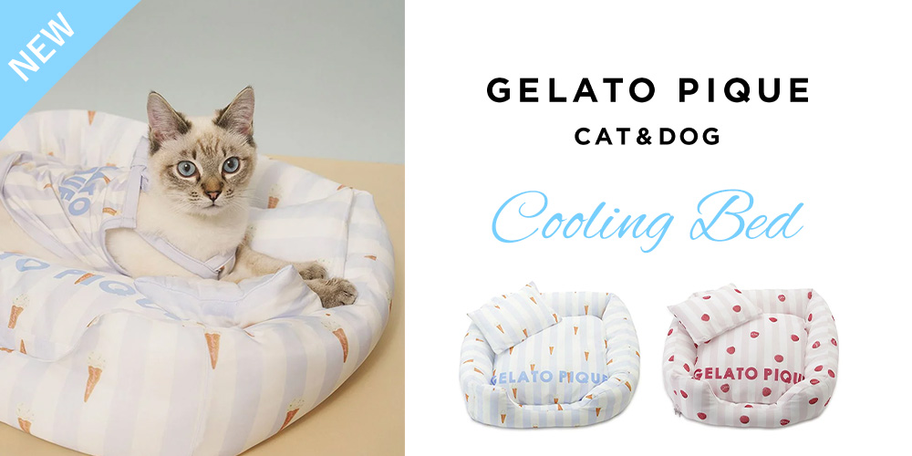 ペットフード・ペット用品の通販ならGREEN DOG & CAT（グリーンドッグ
