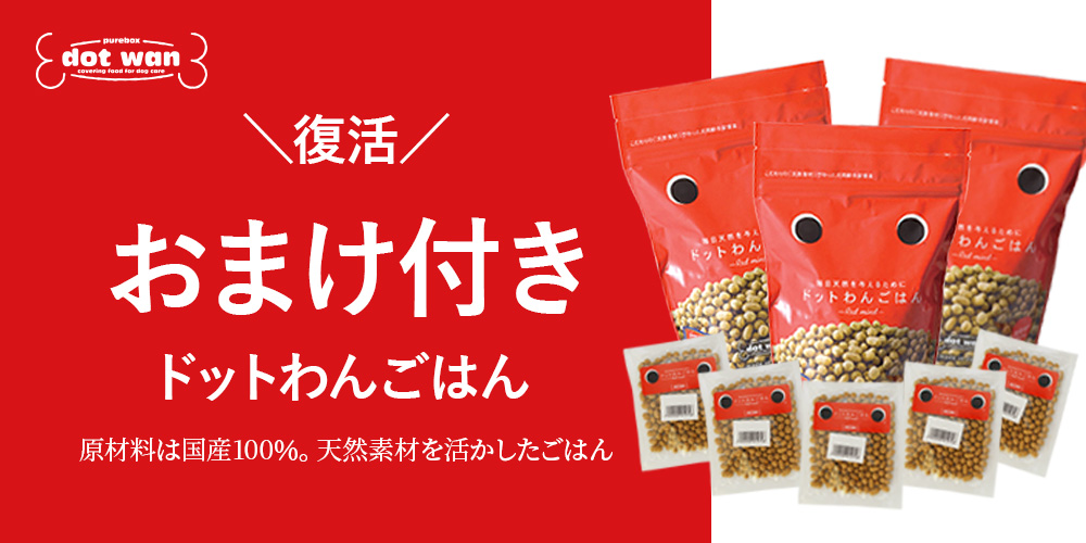 ドットわんごはんお得セット
