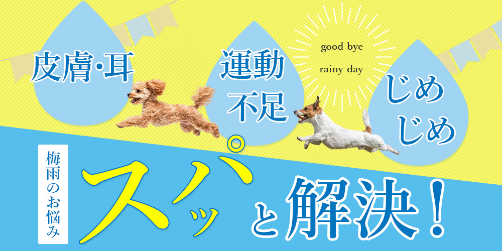 梅雨のお悩みスパっと解決