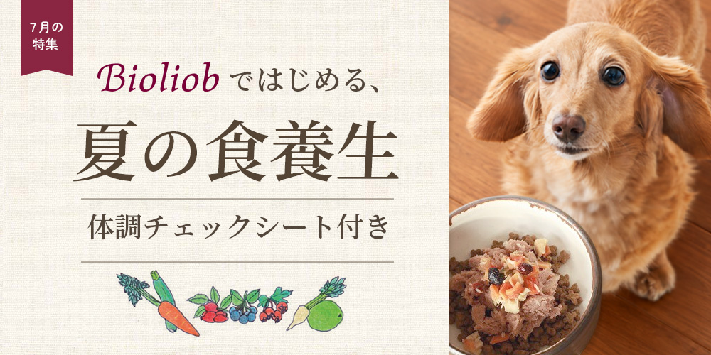 bioliobではじめる、夏の食養生