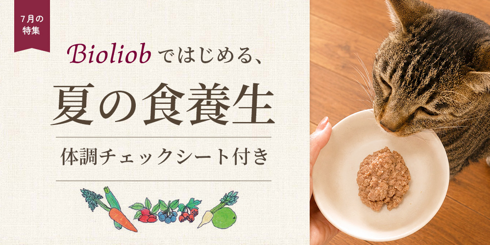 bioliobではじめる、夏の食養生