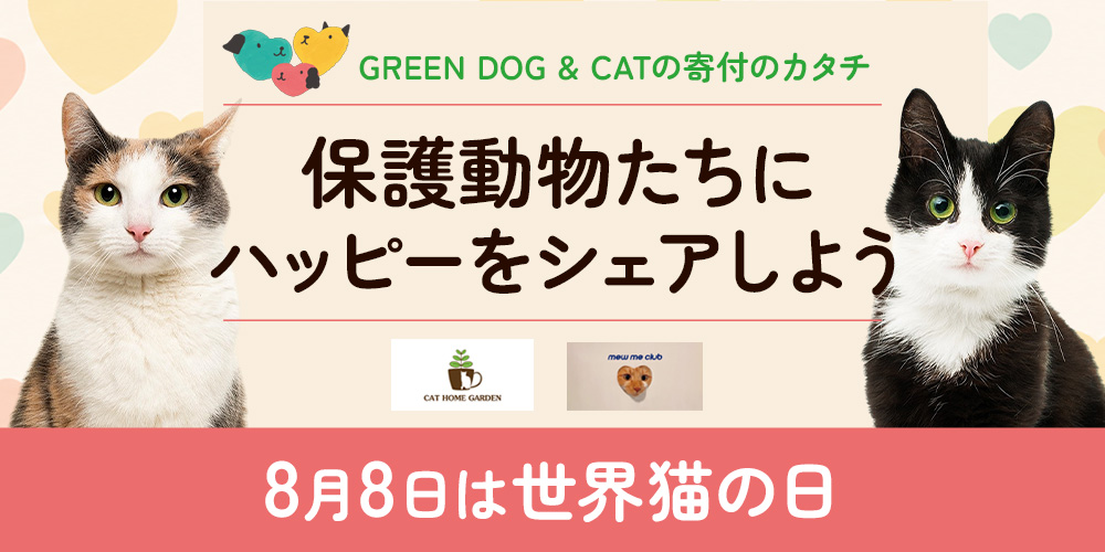 ハッピープレゼント