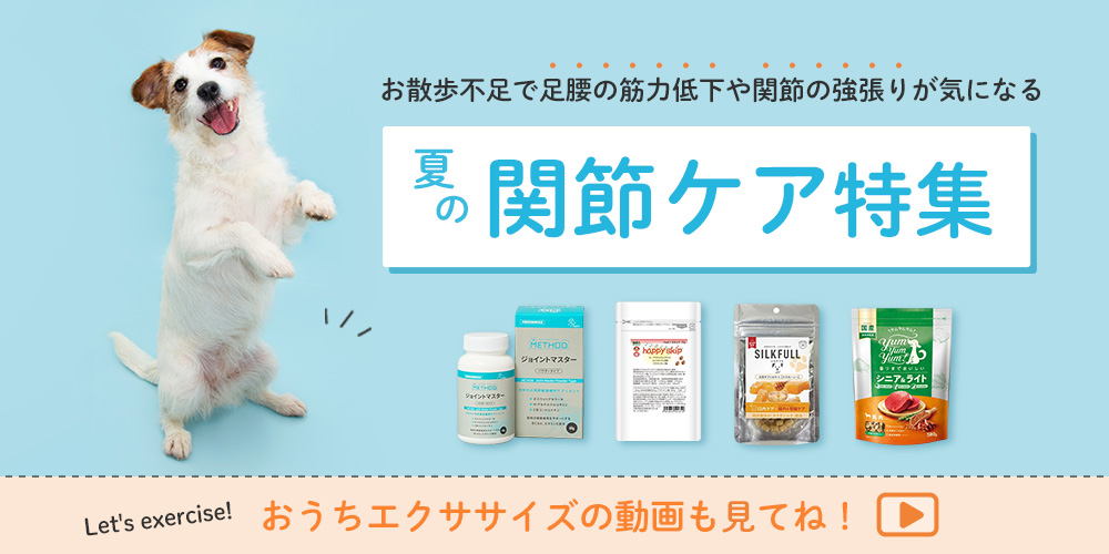 夏の関節ケア