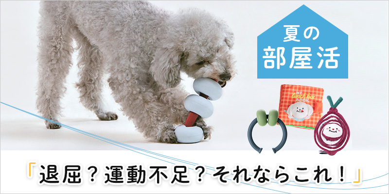 部屋活
