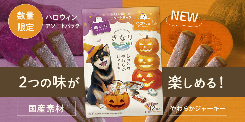 きなりハロウィンアソートパック