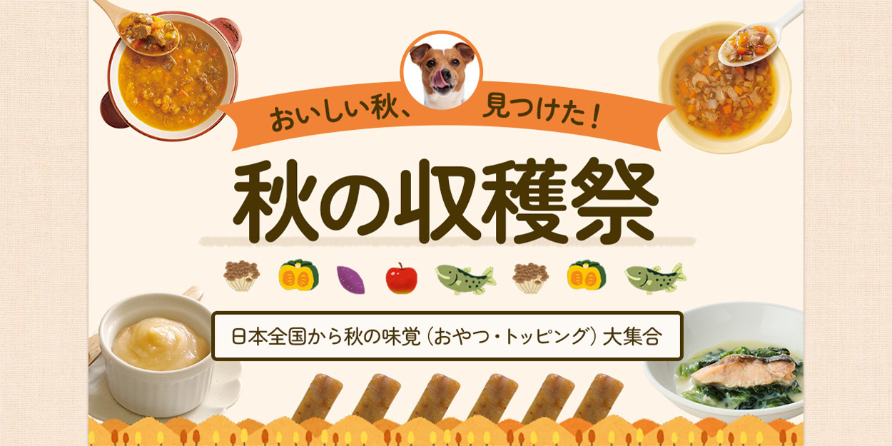 秋の収穫祭