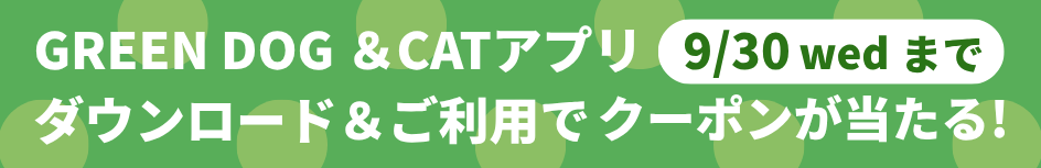 アプリクーポンプレゼントキャンペーン