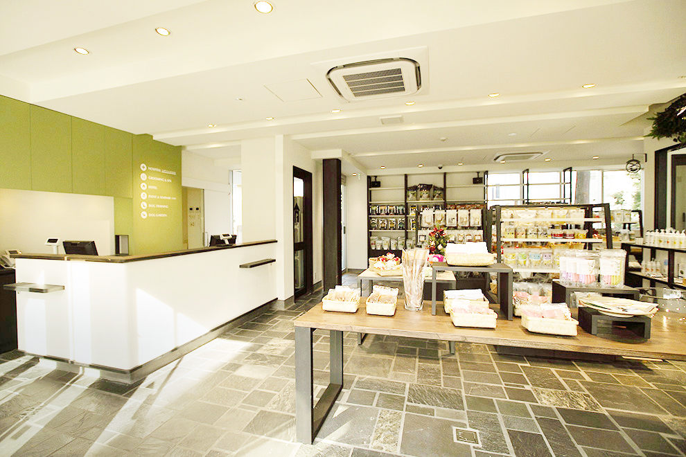 GREEN DOG SQUARE店内