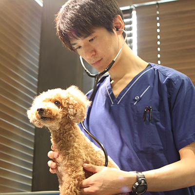 動物病院