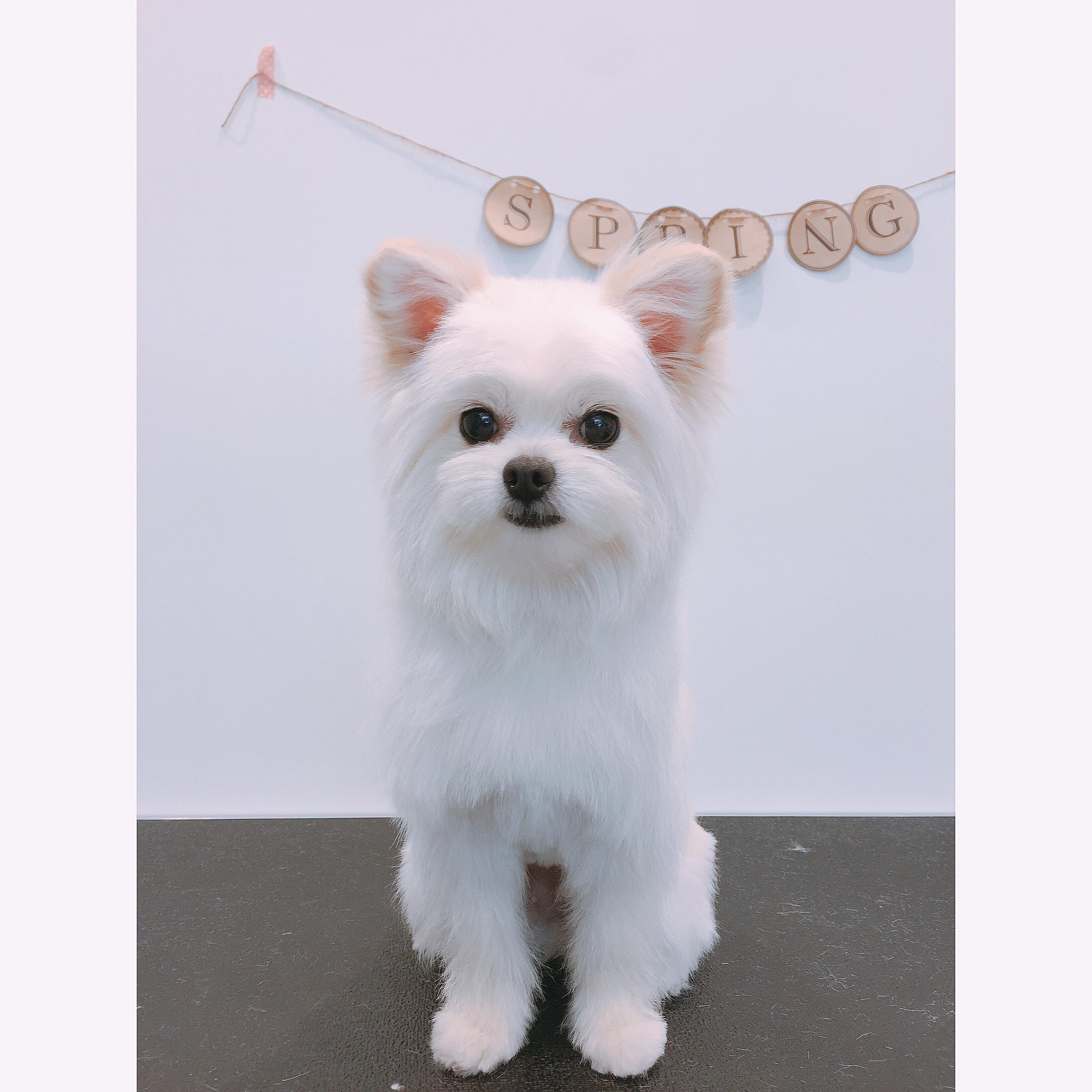 ミックス